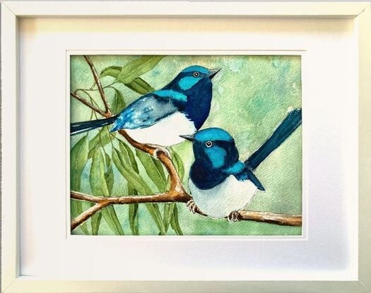 Two tiny Australian Blue Wren's sitting on a branch with a few Eucalyptus leaves