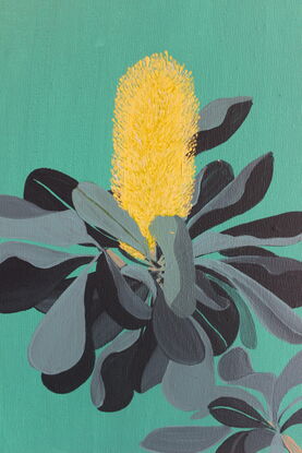 Yellow and grey/blue Banksia on Aqua background