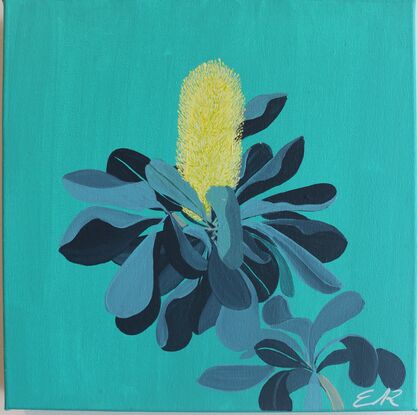 Yellow and grey/blue Banksia on Aqua background