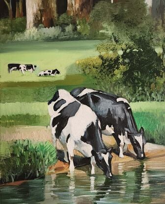 A couple of dairy cows drinking from a watering hole.