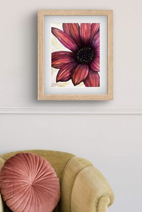 Red, magenta and yellow flower up close with petals filling the frame.