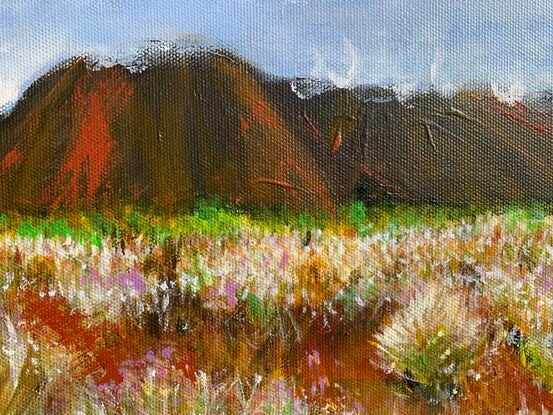 A sea of spectacular wildflowers is brings hope and renewal to the outback of Australia.
A small landscape painting with intricate detail. 
Deep sided canvas with edges painted grey. 
Ready to hang on the wall.
Semi-matt varnish to protect surface.
Signed on the front "RLG" 
Certificate of authenticity supplied with the sale.
