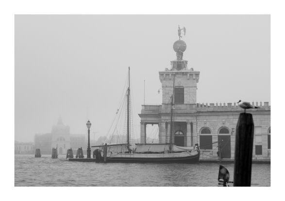 Foggy photo of the Grand Canal in Venice with a sail boat docked in the distance and a seagull perched on a timber post 