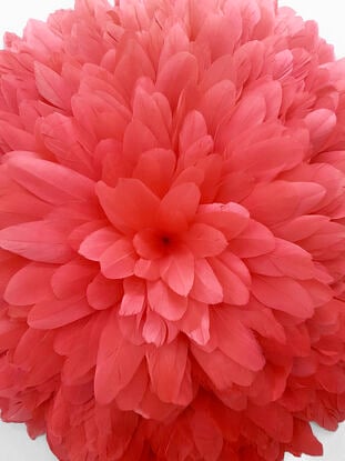 coral red feather wall hanging juju hat