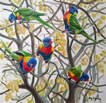 Five Lorikeet birds playing on a tree branches 