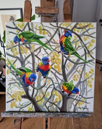 Five Lorikeet birds playing on a tree branches 