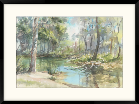 Riverbank of the Cudgegong River in Mudgee with trees eitherside and a pile of dead branches in the focal area.