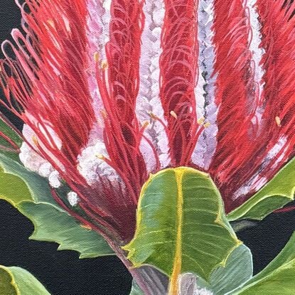 A vibrant red Banksia flower with rich green leaves is set against a dark background, framed by a warm wooden border, highlighting the natural beauty and bold colours of the native Australian flora.