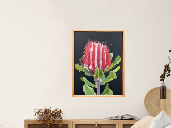 A vibrant red Banksia flower with rich green leaves is set against a dark background, framed by a warm wooden border, highlighting the natural beauty and bold colours of the native Australian flora.