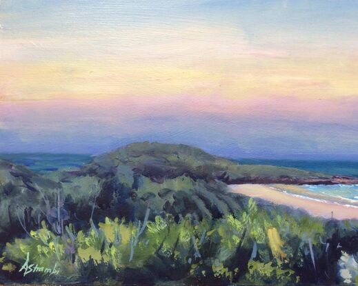 View towards Lover's Point, Pippi Beach, Yamba, at sunset. The sky is filled with soft yet vibrant colours like pink, yellow and blue, and to the right is a Banksia tree with yellow blossoms. Gentle waves curl into shore.