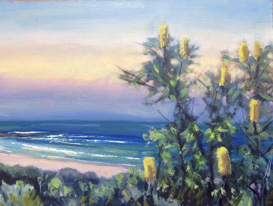 View towards Lover's Point, Pippi Beach, Yamba, at sunset. The sky is filled with soft yet vibrant colours like pink, yellow and blue, and to the right is a Banksia tree with yellow blossoms. Gentle waves curl into shore.