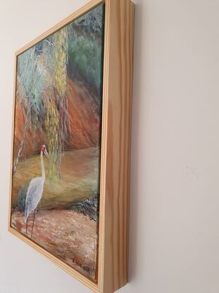 Brolga on red gravel  tree lined river bed.