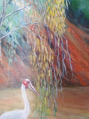 Brolga on red gravel  tree lined river bed.