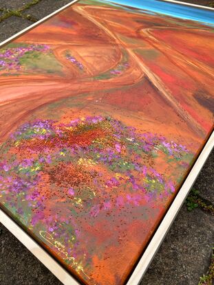 Wildflowers in Australian outback aerial landscape 