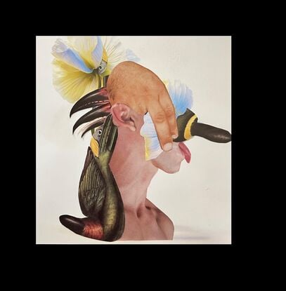 Male erotica centrefold pop shot collaged  with tropical flowers  and dissected bird The florals looks like organs and anatomy. It’s a balance of masculine and feminine , fantasy and erotica . The work is mounted on A3 black card - not in the middle but upper left corner 