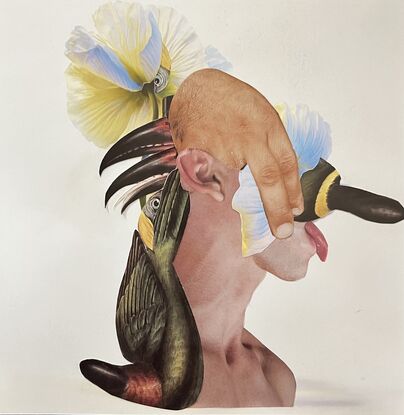 Male erotica centrefold pop shot collaged  with tropical flowers  and dissected bird The florals looks like organs and anatomy. It’s a balance of masculine and feminine , fantasy and erotica . The work is mounted on A3 black card - not in the middle but upper left corner 