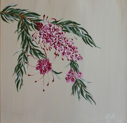 Maroon, red, pink and white Grevillea with green leaves on a light beige background