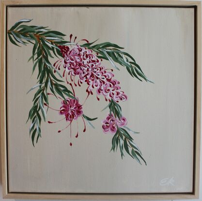 Maroon, red, pink and white Grevillea with green leaves on a light beige background