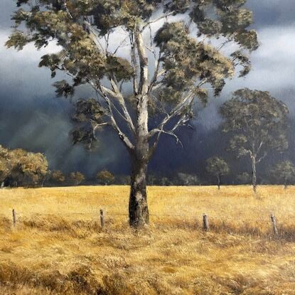 Tall gums lit by the sun, blowing winds and long ochre grasses in a golden field.