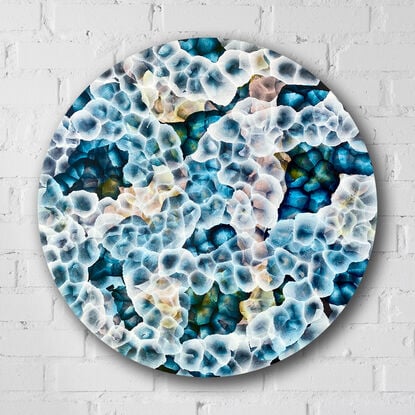 Round Art. Abstract painting with dots and organic forms reminiscent of science, the sea or underwater. Colourful with many layers of colour and floating forms. Green, blue, aqua , lemon, pink and white. A unique mixing of original abstract art with microbiology and science. Cellular art. Surf foam and bubble forms. Calming and peaceful. 