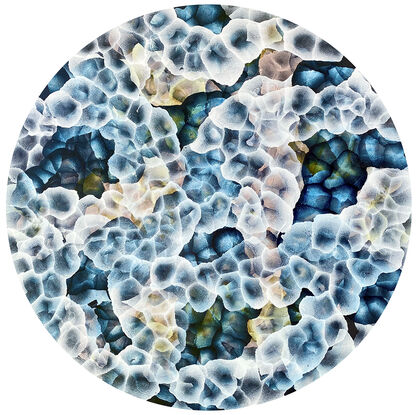 Round Art. Abstract painting with dots and organic forms reminiscent of science, the sea or underwater. Colourful with many layers of colour and floating forms. Green, blue, aqua , lemon, pink and white. A unique mixing of original abstract art with microbiology and science. Cellular art. Surf foam and bubble forms. Calming and peaceful. 