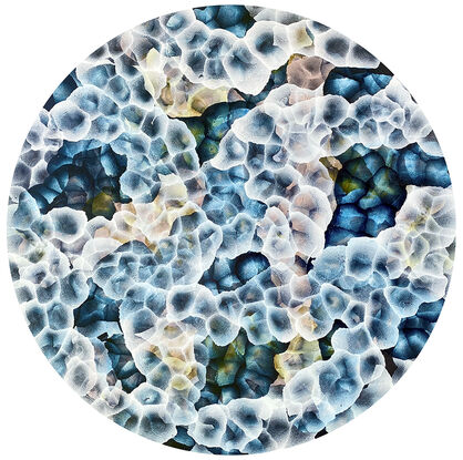 Round Art. Abstract painting with dots and organic forms reminiscent of science, the sea or underwater. Colourful with many layers of colour and floating forms. Green, blue, aqua , lemon, pink and white. A unique mixing of original abstract art with microbiology and science. Cellular art. Surf foam and bubble forms. Calming and peaceful. 