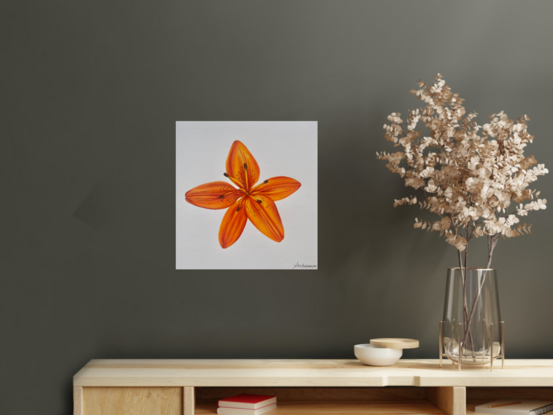 Orange lily drawing 