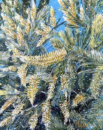 Summer Escape- Pine-leaved Geebung (Persoonia Pinifolia)
51 x 41x 1.5 cm
28/02/2024
By HSIN LIN
Acrylic on Acid-free canvas.
Sealed with clear spray varnish. Side panels painted.
Signed at the front and ready to hang.
Comes with a certificate of authenticity.
<br>
To experience the seasons, it has become a routine of mine to paint the first bloom around my surroundings, during its flowering season. This artwork was inspired by my visit to the Royal Botanic Garden in Cranbourne. I was drawn immediately to this beautiful, large native shrub in full bloom in the flowering season.  I love every detail of it, from the terminal racemes of small flowers in bright yellow that shine beautifully under the sun, to the long, narrow pine-like leaves.
<br>
Persoonia pinifolia, a species of the Proteaceae family, is an attractive large shrub with large spikes of bright, vivid yellow flowers and pine-like foliage, native to New South Wales, Australia.
Pine-leaved Geebung normally flowering from mid-summer to autumn, it grows into a dense shrub that birds can take refuge in. Persoonia pinifolia loves well-drained acid soil, prefers a sunny position or one with partial shade, and tolerates reasonably heavy frosts.
This is a rare sight to see as it can be difficult to propagate somehow. This is why it was a nice surprise that I encountered the Pine-leaved Geebung in its flowering season during my visit to the garden.
<br>
Affirmation – Do your best, all your perseverance and effort will turn into a fruitful harvest.
<br>
Flowers always bloom in their own time without competing with other flowers.
May we all bloom in our time in the best season. Hope you enjoy this artwork of mine.
-WILD BOTANICAL ABSTRACT SERIES By HSIN LIN-
Artwork inspired by nature in Royal Botanic Garden, Cranbourne, Australia, Summer 2024. -HSIN LIN
<br>
[Solo Exhibition]
*2 -  30 June 2024 - HSIN LIN Solo Exhibition - The First Bloom - at Mackley gallery, Victorian Artists Society.