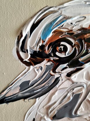 Kookaburra textured on cream