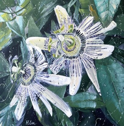 Chasing The Sun - Bluecrown Passionflower (Passiflora Caerulea)
71 x 71 x 3.75 cm
20/06/2024
By HSIN LIN
<br>
Artist Acrylic on Acid-free canvas. 
Sealed with clear spray varnish. Side panels painted.
Signed at the front and ready to hang.
Comes with a certificate of authenticity.
<br>
Affirmation: Climb higher, until we reach the top.
<br>
To experience the changing of the seasons and to present moments, it has become a routine of mine to paint the first bloom in my surroundings during its flowering season. This artwork is inspired by the Passion Vine that I spotted in my neighbourhood close to my art studio.
I was fascinated by those interesting fringed petals and splendorous tendrils; the white petals shone bright like precious gems under the sunshine.
<br>
Fun Fact of these unusual blossoms - Passion Flower Essence is used to purify and strengthen one’s connection to unconditional love even nowadays.
A Truly Special and Symbolic Gift- Passion Flower, was named by Roman Catholic priests In the 15th and 16th centuries for the Passion of Jesus Christ. Old sayings were that the flower's five petals and five-petallike sepals represented the 10 faithful apostles. As for the circle of filaments in the centre of the  blossom, it stands for the Crown of Thorns.
<br>
Flowers always bloom in their own time without competing with other flowers. May we all bloom in our time in the best season. I hope you enjoy this artwork of mine.
Artwork inspired by nature in Melbourne, Winter, 2024. -HSIN LIN