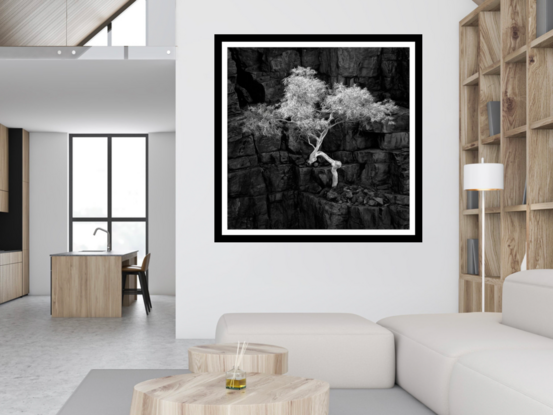 Black framed print of lone ghost gum tree in outback australia.