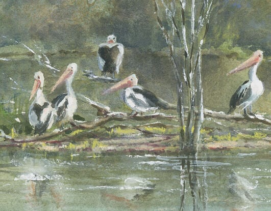 Watercolour painting of a lake, billabong with pelicans, birds, trees and escarpment in the background.