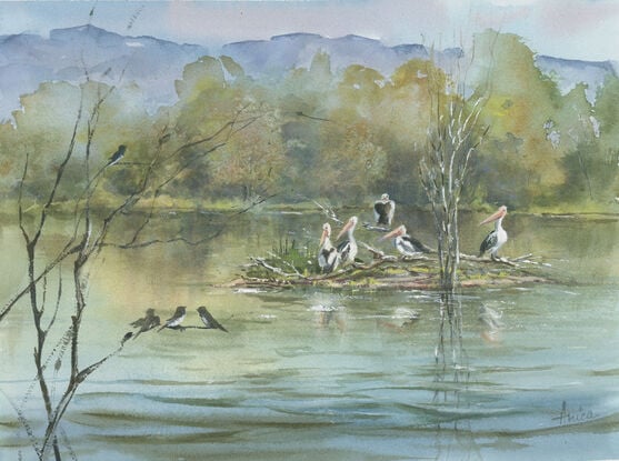 Watercolour painting of a lake, billabong with pelicans, birds, trees and escarpment in the background.