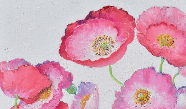 Oil painting of graceful pink Iceland poppies on a white painted background.