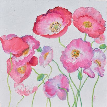 Oil painting of graceful pink Iceland poppies on a white painted background.