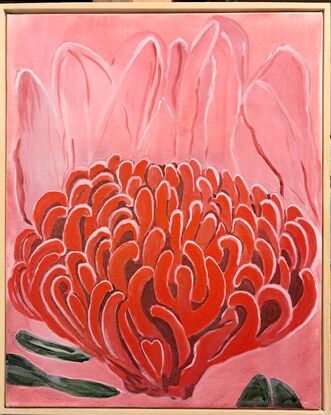 Waratah, native flower, New South Wales, Australian, Red flower, 