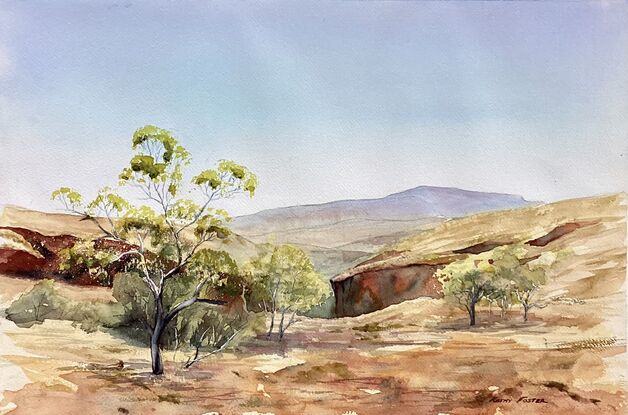 Red gorge, golden country, sparse gum trees, clear sky, distant ranges. Vast landscape