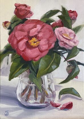 Bright crimson and pink camellias in a clear vase, with light grey background. Bright and happy.