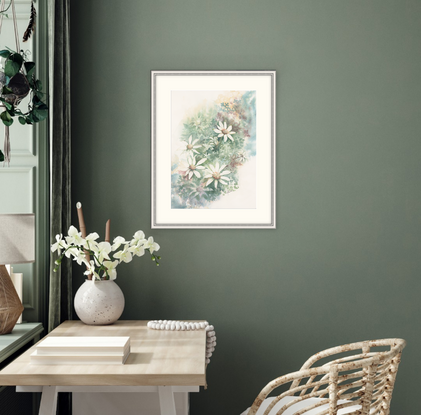 Watercolour painting of Flannel Flowers looking at them from above