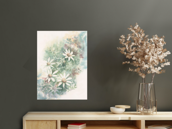 Watercolour painting of Flannel Flowers looking at them from above