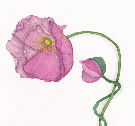 A watercolor of a Qing Dynasty-style teapot with a crane motif. Poppies grow from a crack in the teapot, their vibrant petals twisting around the handle, blending themes of fragility, resilience, and renewal.