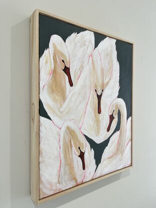 Swans with pink highlights and dark green background. Wooden frame