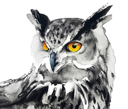 With piercing orange eyes that seem to glow against the twilight sky, the owl scans its surroundings, 