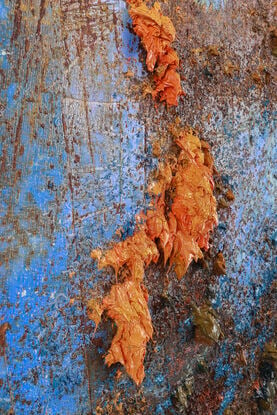 This abstract contemporary painting is a dynamic representation of nature, dominated by vibrant  blue hues and complemented by orange tones. The artist employs a heavy texture, adding depth and dimension to the artwork, creating a visually engaging and evocative piece.