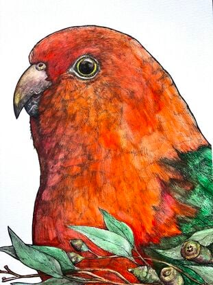 Portrait of red and green parrot with brown branches and green leaves crossing the lower quarter of the paper.