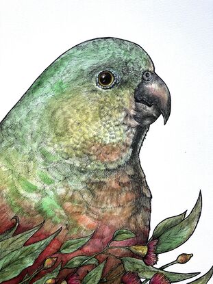 Light green and light red parrot portrait with green leaves and branches and red blossoms across the lower quarter of the paper.