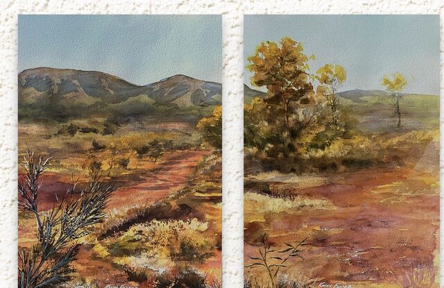 Golden tree in red soil country of the Pilbara area. Distant ranges.