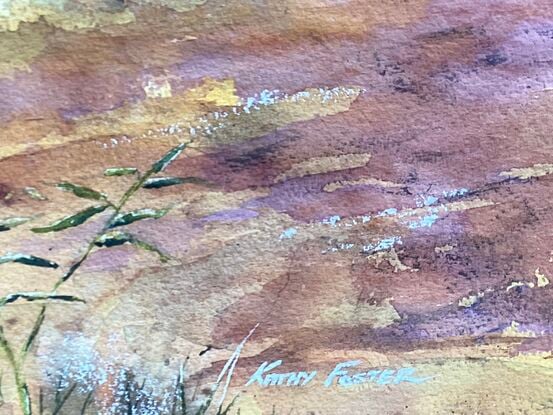 Golden tree in red soil country of the Pilbara area. Distant ranges.