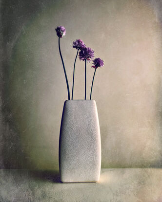 Four Chive flower stems in a crackled white vase.  Minimal.