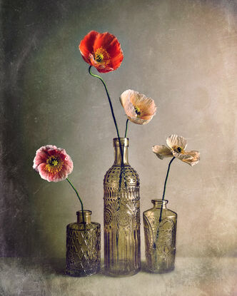 3 Vintage glass vases with Poppies, minimal in style.